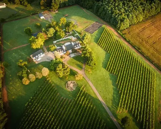 Bleu Frog Vineyards & Ole Bleu Brewery in Leesburg, Virginia