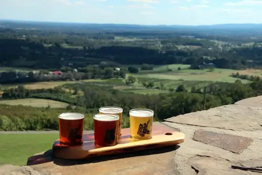 Dirt Farm Brewing in Bluemont, Virginia