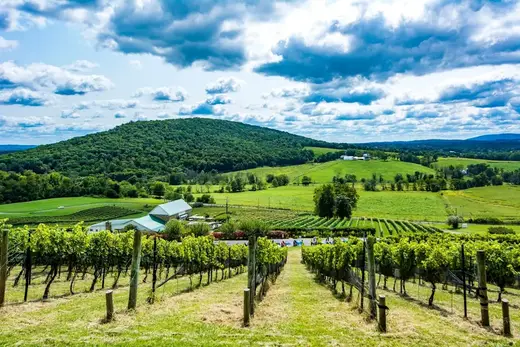 Hillsborough Vineyards & Brewery in Hillsboro, Virginia